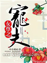 女尊之宠夫小说