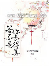 若不是你长得美小说