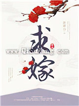 求嫁小说