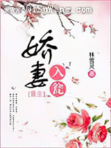 娇妻入瓮小说