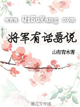 将军有话要说小说