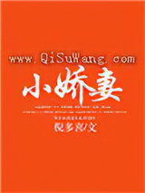 小娇妻小说
