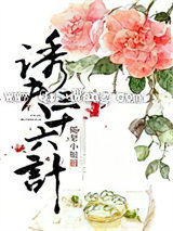 诱夫三十六计小说