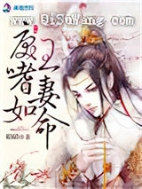 戾王嗜妻如命小说