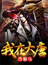 我在大唐当驸马小说