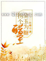 金玉为糖，拐个醋王小说