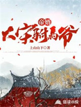 帝婿：大宋驸马爷小说