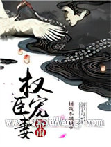 权臣宠妻指南小说