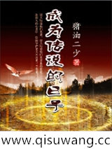 成为传说的日子小说