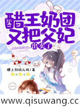 醋王奶团又把父妃出卖了小说