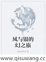 风与银的幻之旅小说