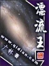 漂流王小说