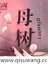 超越立方体小说