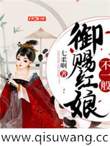 御赐红娘不一般小说