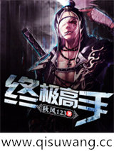 终极高手小说