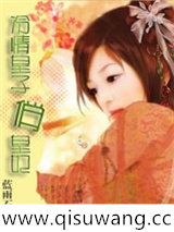 冷情皇子俏皇妃小说