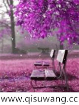 超异能进化小说