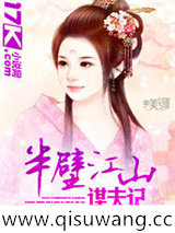半壁江山谋夫记小说