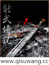 能武传说小说