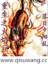 重生之火焰巨兽小说