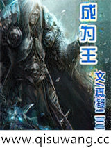 成为王小说