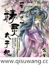 穿越之精灵太子妃小说