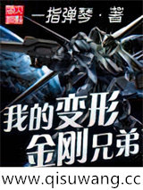 我的变形金刚兄弟小说