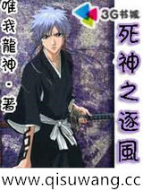 死神之逐风者小说