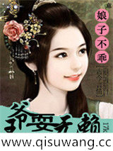 娘子不乖：王爷耍无赖小说