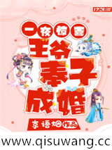一夜惊喜，王爷奉子成婚小说