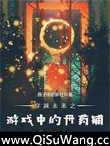 穿越未来之游戏中的丹药铺小说
