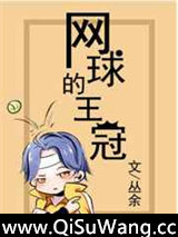 [网王]网球的王冠小说