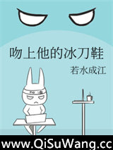 吻上他的冰刀鞋小说