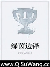 绿茵边锋小说
