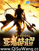 荣耀王者之我即荣耀小说