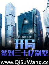 开局签到三十亿别墅小说