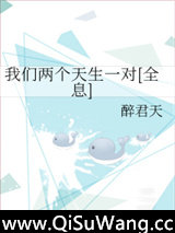 我们两个天生一对[全息]小说
