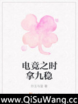 电竞之时拿九稳小说