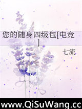 您的随身四级包[电竞]小说