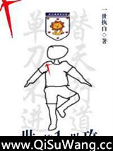 [足球]世界第一助攻小说