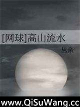 [网王][网球]高山流水小说