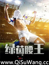 绿茵腰王小说