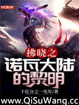 拂晓之诺瓦大陆的黎明小说