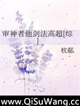 审神者他剑法高超[综]小说