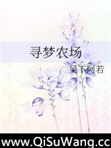 苏子青的寻梦农场小说