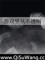 游戏里从不透明小说