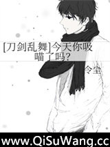 [刀剑乱舞]今天你吸喵了吗？小说