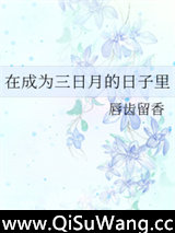 在成为三日月的日子里小说
