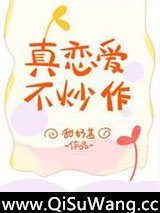 真恋爱，不炒作小说