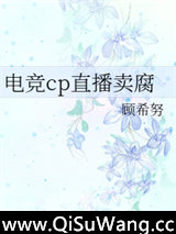 电竞cp直播卖腐小说